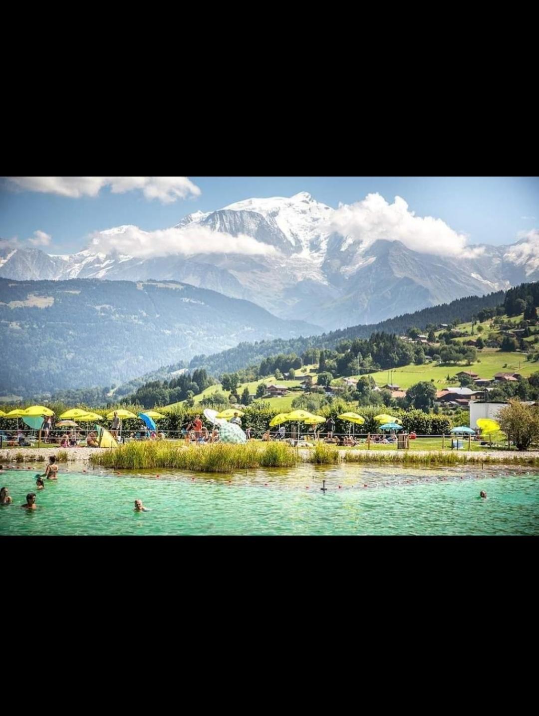 Studio Porte Du Mont Blanc Combloux Aux Pieds Des Pistes Exterior foto